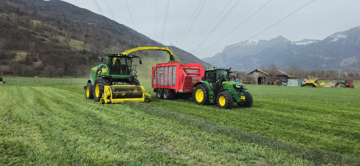 Häckseln: Gras