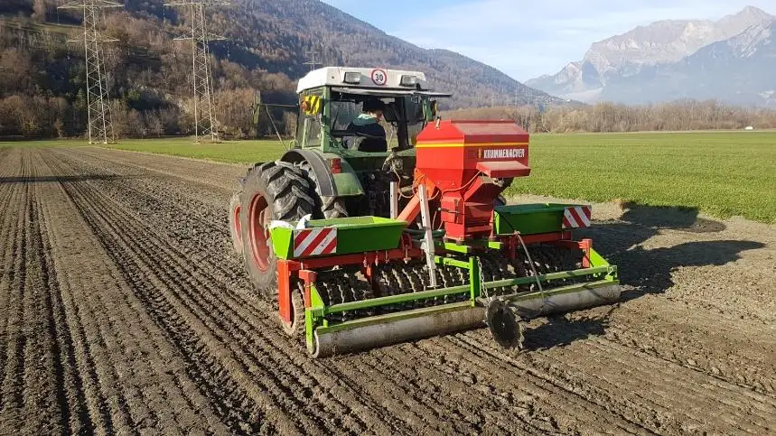 Mietmaschine Saatwalze