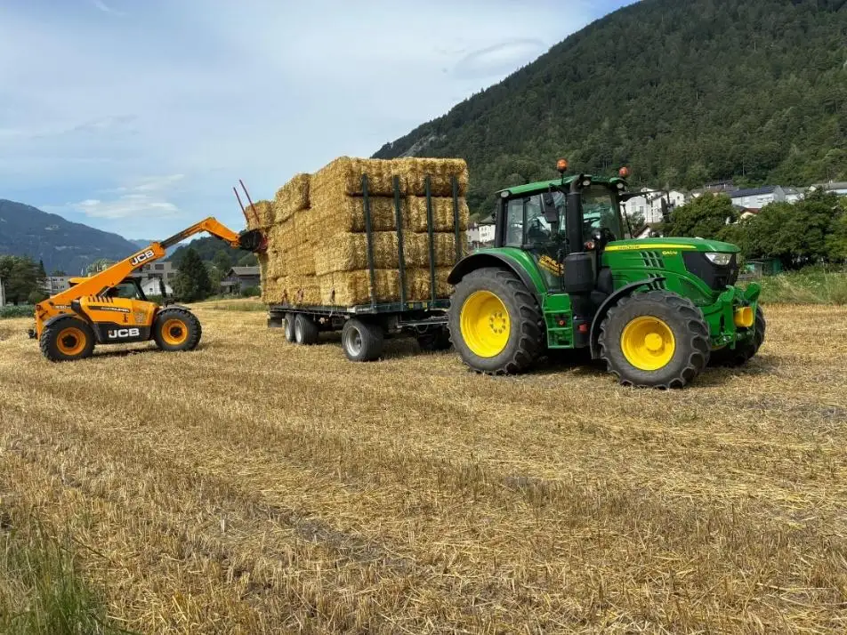 Transport: Plattformwagen